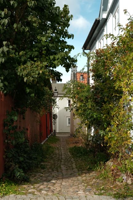 A narrow, cobblestone pathway leading through a residential outdoor space with tall, lush green bushes and trees on both sides. On the left, there is a wooden fence painted dark red, while on the right, part of a white building with several windows and black window frames is visible. A white doorway or gate at the end of the pathway suggests an entrance or exit point. The scene is lit with natural daylight under a partly cloudy sky, indicating daytime. This outdoor setting reflects a typical residential alley often used in home relocations, where furniture and boxes may be transported through such confined spaces, highlighting the importance of careful planning in house removals handled by companies like Man with Van Malden Rushett.